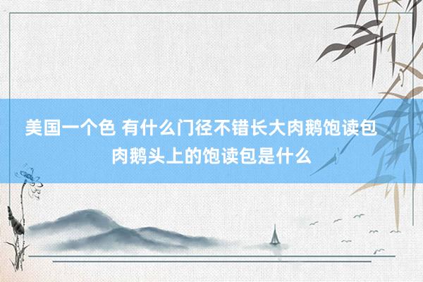 美国一个色 有什么门径不错长大肉鹅饱读包    肉鹅头上的饱读包是什么