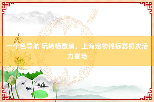 一个色导航 玩转杨数浦，上海宠物锦标赛初次活力登场