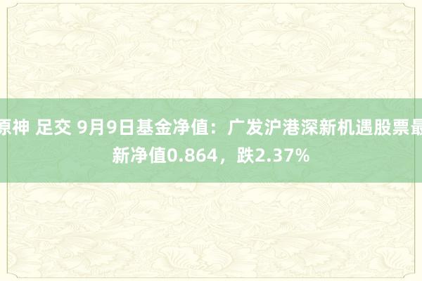 原神 足交 9月9日基金净值：广发沪港深新机遇股票最新净值0.864，跌2.37%