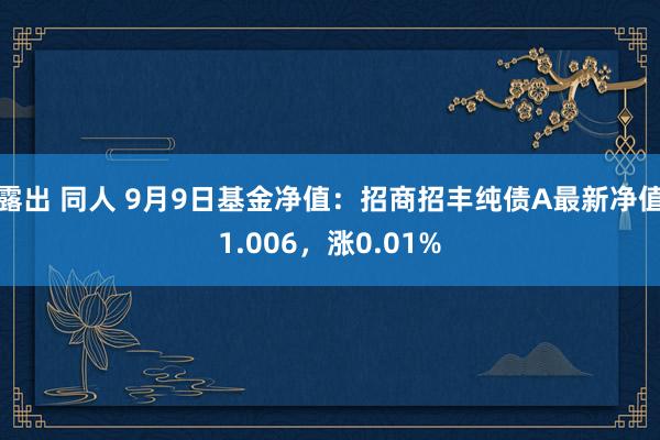 露出 同人 9月9日基金净值：招商招丰纯债A最新净值1.006，涨0.01%