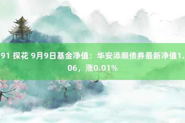 91 探花 9月9日基金净值：华安添顺债券最新净值1.06，涨0.01%