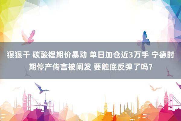 狠狠干 碳酸锂期价暴动 单日加仓近3万手 宁德时期停产传言被阐发 要触底反弹了吗？