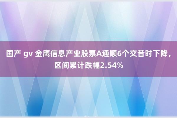 国产 gv 金鹰信息产业股票A通顺6个交昔时下降，区间累计跌幅2.54%