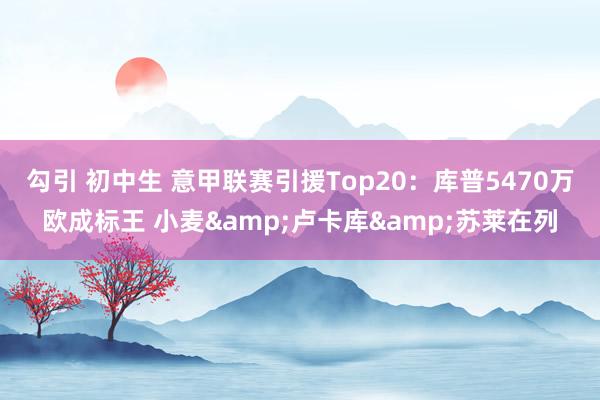 勾引 初中生 意甲联赛引援Top20：库普5470万欧成标王 小麦&卢卡库&苏莱在列