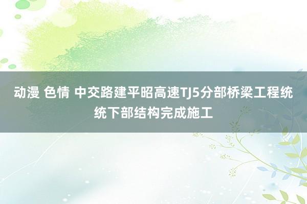 动漫 色情 中交路建平昭高速TJ5分部桥梁工程统统下部结构完成施工