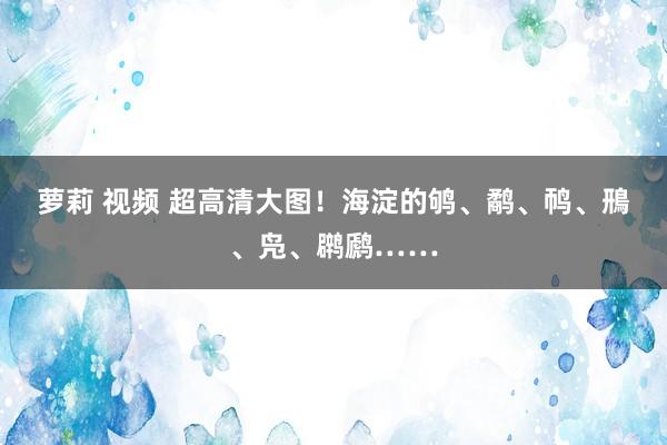 萝莉 视频 超高清大图！海淀的鸲、鹬、䴓、鳽、凫、䴙䴘……