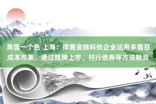 美国一个色 上海：撑握金融科技企业运用多眉目成本市集，通过挂牌上市、刊行债券等方法融资