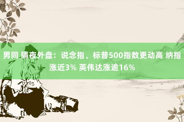 男同 隔夜外盘：说念指、标普500指数更动高 纳指涨近3% 英伟达涨逾16%