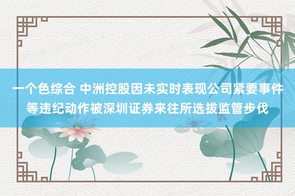 一个色综合 中洲控股因未实时表现公司紧要事件等违纪动作被深圳证券来往所选拔监管步伐