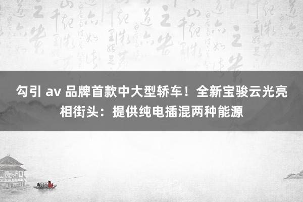 勾引 av 品牌首款中大型轿车！全新宝骏云光亮相街头：提供纯电插混两种能源