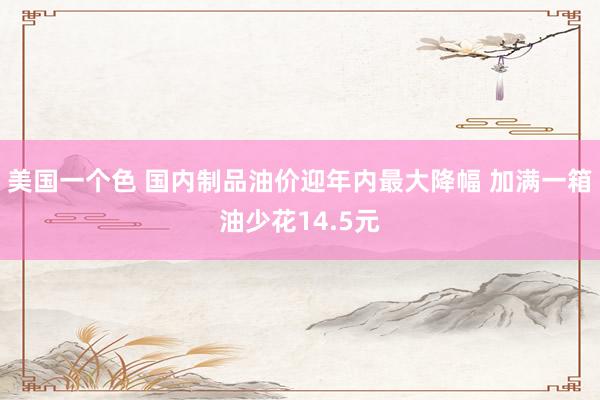 美国一个色 国内制品油价迎年内最大降幅 加满一箱油少花14.5元