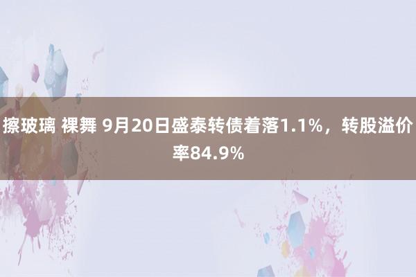 擦玻璃 裸舞 9月20日盛泰转债着落1.1%，转股溢价率84.9%