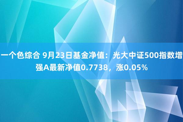 一个色综合 9月23日基金净值：光大中证500指数增强A最新净值0.7738，涨0.05%