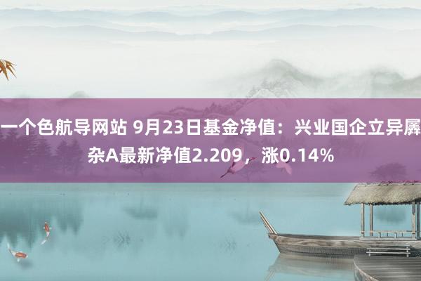 一个色航导网站 9月23日基金净值：兴业国企立异羼杂A最新净值2.209，涨0.14%