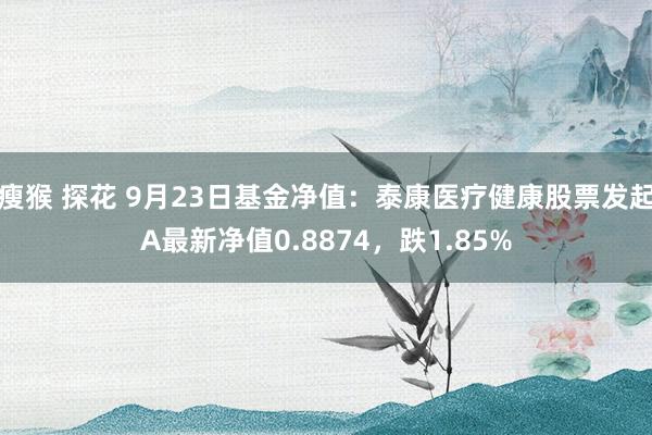 瘦猴 探花 9月23日基金净值：泰康医疗健康股票发起A最新净值0.8874，跌1.85%