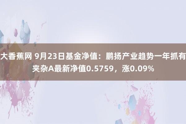 大香蕉网 9月23日基金净值：鹏扬产业趋势一年抓有夹杂A最新净值0.5759，涨0.09%