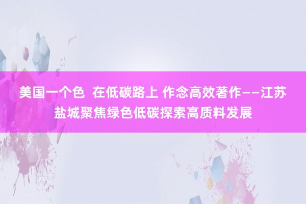 美国一个色  在低碳路上 作念高效著作——江苏盐城聚焦绿色低碳探索高质料发展