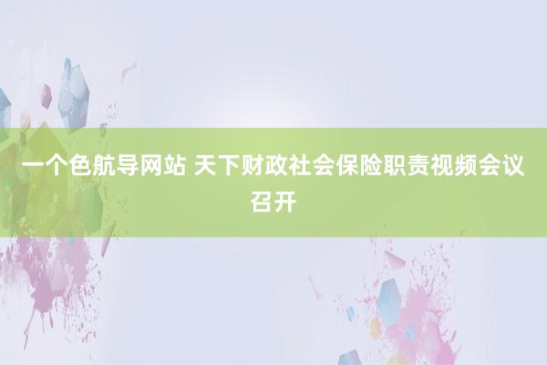 一个色航导网站 天下财政社会保险职责视频会议召开