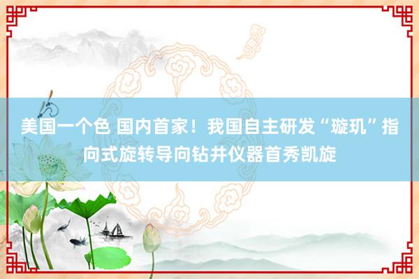 美国一个色 国内首家！我国自主研发“璇玑”指向式旋转导向钻井仪器首秀凯旋