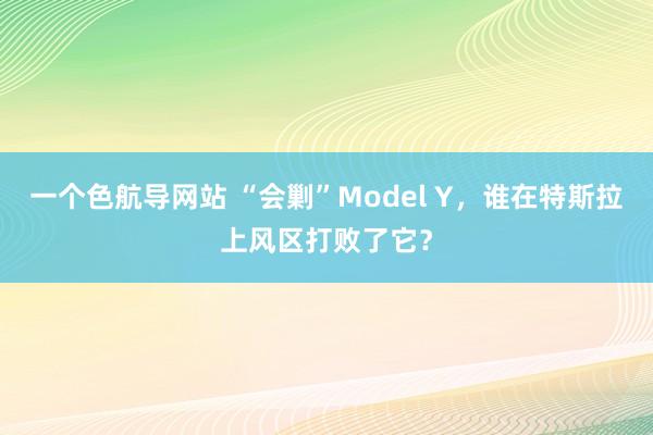 一个色航导网站 “会剿”Model Y，谁在特斯拉上风区打败了它？