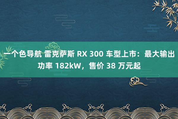 一个色导航 雷克萨斯 RX 300 车型上市：最大输出功率 182kW，售价 38 万元起