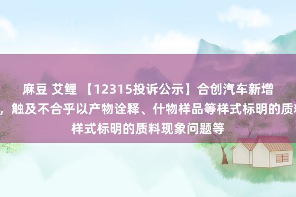 麻豆 艾鲤 【12315投诉公示】合创汽车新增3件投诉公示，触及不合乎以产物诠释、什物样品等样式标明的质料现象问题等