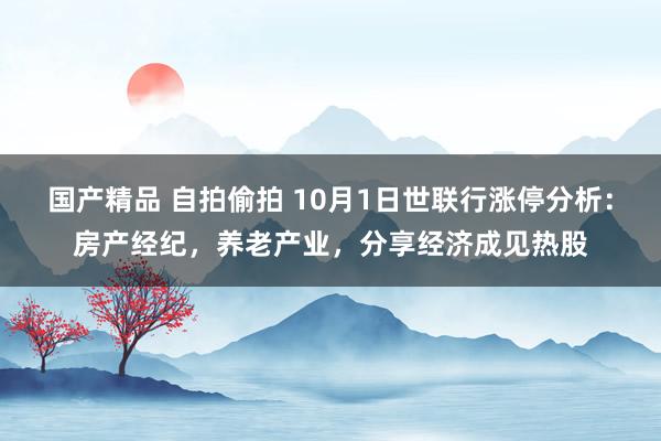 国产精品 自拍偷拍 10月1日世联行涨停分析：房产经纪，养老产业，分享经济成见热股