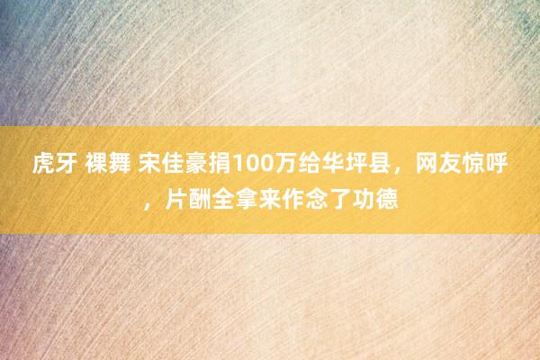 虎牙 裸舞 宋佳豪捐100万给华坪县，网友惊呼，片酬全拿来作念了功德