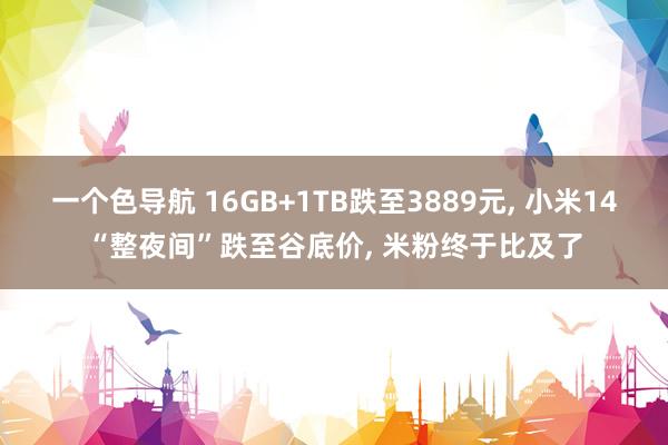 一个色导航 16GB+1TB跌至3889元， 小米14“整夜间”跌至谷底价， 米粉终于比及了