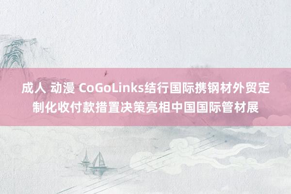 成人 动漫 CoGoLinks结行国际携钢材外贸定制化收付款措置决策亮相中国国际管材展