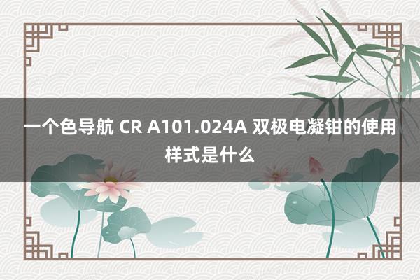 一个色导航 CR A101.024A 双极电凝钳的使用样式是什么