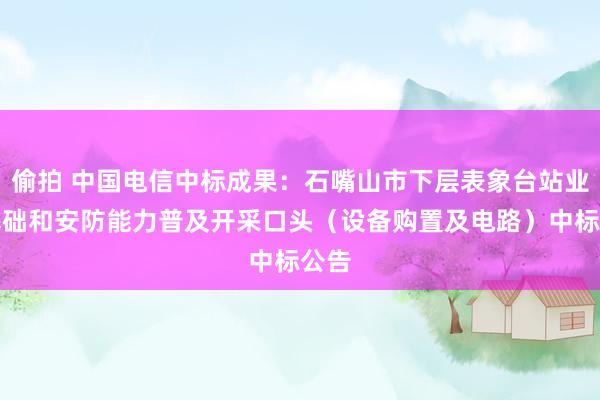 偷拍 中国电信中标成果：石嘴山市下层表象台站业务基础和安防能力普及开采口头（设备购置及电路）　　中标公告