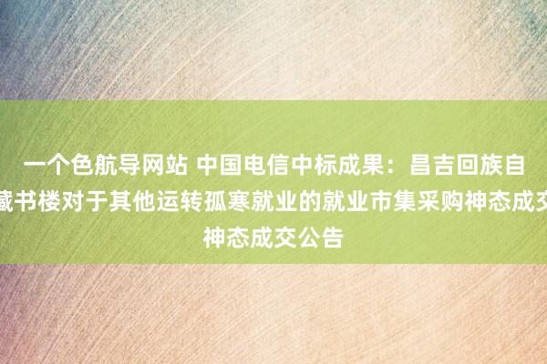 一个色航导网站 中国电信中标成果：昌吉回族自治州藏书楼对于其他运转孤寒就业的就业市集采购神态成交公告