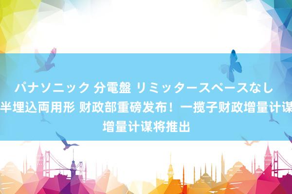 パナソニック 分電盤 リミッタースペースなし 露出・半埋込両用形 财政部重磅发布！一揽子财政增量计谋将推出