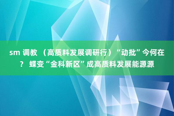 sm 调教 （高质料发展调研行）“动批”今何在？ 蝶变“金科新区”成高质料发展能源源