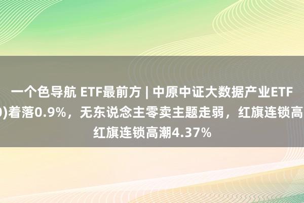 一个色导航 ETF最前方 | 中原中证大数据产业ETF(516000)着落0.9%，无东说念主零卖主题走弱，红旗连锁高潮4.37%