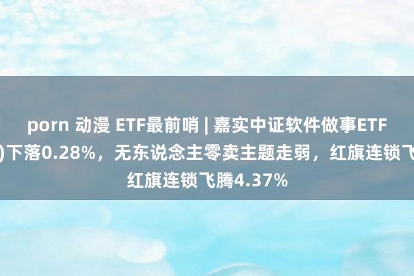 porn 动漫 ETF最前哨 | 嘉实中证软件做事ETF(159852)下落0.28%，无东说念主零卖主题走弱，红旗连锁飞腾4.37%