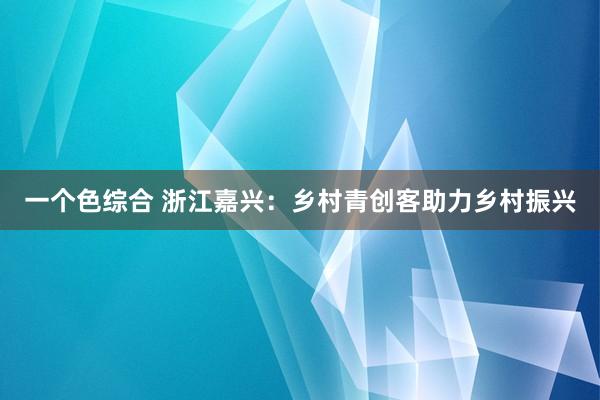 一个色综合 浙江嘉兴：乡村青创客助力乡村振兴