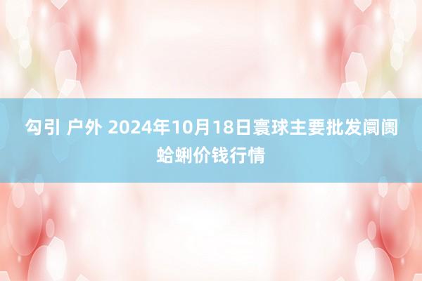 勾引 户外 2024年10月18日寰球主要批发阛阓蛤蜊价钱行情