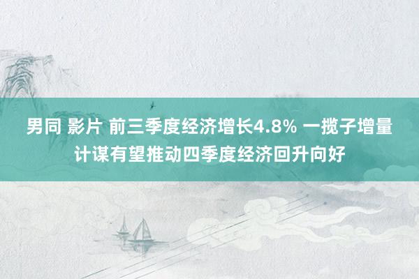 男同 影片 前三季度经济增长4.8% 一揽子增量计谋有望推动四季度经济回升向好