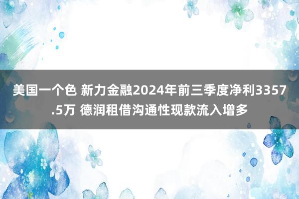 美国一个色 新力金融2024年前三季度净利3357.5万 德润租借沟通性现款流入增多