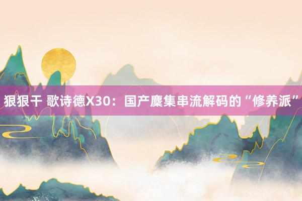 狠狠干 歌诗德X30：国产麇集串流解码的“修养派”