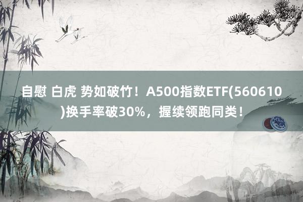 自慰 白虎 势如破竹！A500指数ETF(560610)换手率破30%，握续领跑同类！