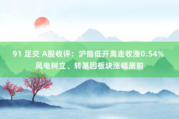 91 足交 A股收评：沪指低开高走收涨0.54% 风电树立、转基因板块涨幅居前