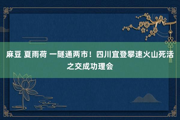 麻豆 夏雨荷 一隧通两市！四川宜登攀速火山死活之交成功理会