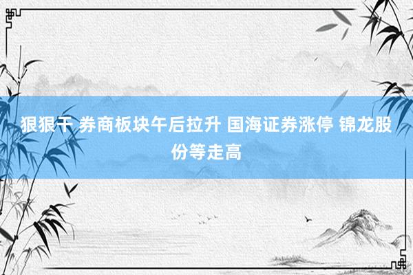 狠狠干 券商板块午后拉升 国海证券涨停 锦龙股份等走高