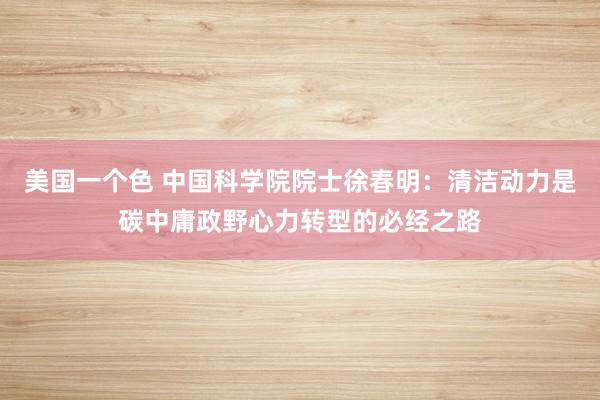 美国一个色 中国科学院院士徐春明：清洁动力是碳中庸政野心力转型的必经之路