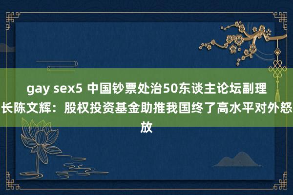 gay sex5 中国钞票处治50东谈主论坛副理事长陈文辉：股权投资基金助推我国终了高水平对外怒放