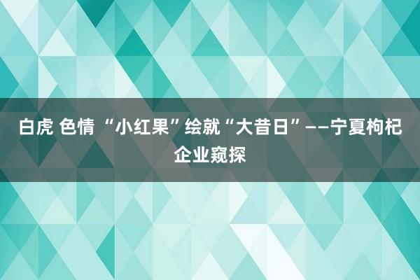 白虎 色情 “小红果”绘就“大昔日”——宁夏枸杞企业窥探