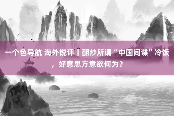 一个色导航 海外锐评丨翻炒所谓“中国间谍”冷饭，好意思方意欲何为？